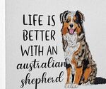 Puppy A Hamilton Australian Shepherd