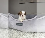 Image preview for Ad Listing. Nickname: Muffy