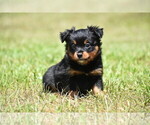 Image preview for Ad Listing. Nickname: Lady Emerald