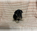 Image preview for Ad Listing. Nickname: Hulk