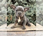 Image preview for Ad Listing. Nickname: Arielle