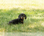 Image preview for Ad Listing. Nickname: Mae