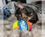 Image preview for Ad Listing. Nickname: Tater
