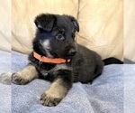 Small #2 German Shepherd Dog