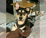 Small #11 Mutt