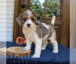 Image preview for Ad Listing. Nickname: Penny
