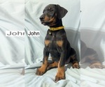 Image preview for Ad Listing. Nickname: John