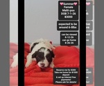 Image preview for Ad Listing. Nickname: Summer