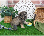 Image preview for Ad Listing. Nickname: Lagoon