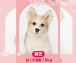 Small #3 Breeder Profile image