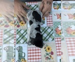  - Photo #3