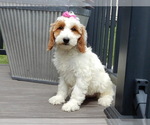 Image preview for Ad Listing. Nickname: Princess