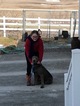 Small Photo #2 Labrador Retriever Puppy For Sale in BASCO, IL, USA