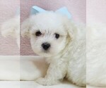 Image preview for Ad Listing. Nickname: max