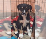 Small #3 Breeder Profile image