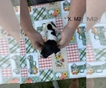  - Photo #3