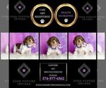 Small Photo #29 Dachshund Puppy For Sale in WARSAW, IN, USA