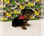 Image preview for Ad Listing. Nickname: Tiny Cooper