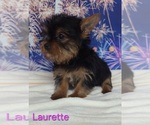 Image preview for Ad Listing. Nickname: Laurette