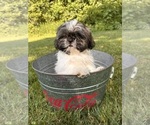 Image preview for Ad Listing. Nickname: Jack