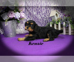 Small #12 Cavalier King Charles Spaniel