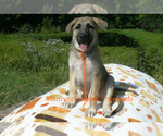Image preview for Ad Listing. Nickname: Sweet Cinnamon