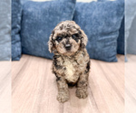 Image preview for Ad Listing. Nickname: Gabe