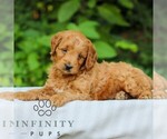 Image preview for Ad Listing. Nickname: Legend