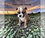 Image preview for Ad Listing. Nickname: 6th Female