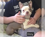 Image preview for Ad Listing. Nickname: Vinny