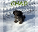 Image preview for Ad Listing. Nickname: Chad