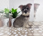 Image preview for Ad Listing. Nickname: Scout