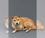 Small #3 Breeder Profile image