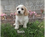 Image preview for Ad Listing. Nickname: Beth