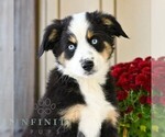 Image preview for Ad Listing. Nickname: Bonnie
