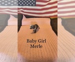 Image preview for Ad Listing. Nickname: Baby Girl