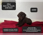 Image preview for Ad Listing. Nickname: Elliot