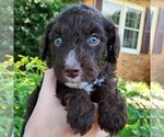 Image preview for Ad Listing. Nickname: Pluto