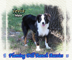 Image preview for Ad Listing. Nickname: Tevis