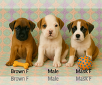 Image preview for Ad Listing. Nickname: Lu Lu