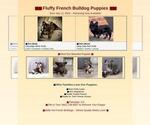 Small French Bulldog