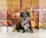 Image preview for Ad Listing. Nickname: Sky