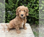 Image preview for Ad Listing. Nickname: Athena