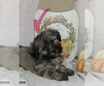 Image preview for Ad Listing. Nickname: Lulu