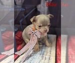 Image preview for Ad Listing. Nickname: Billie