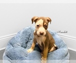 Image preview for Ad Listing. Nickname: Moonshot