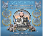 Small #2 French Bulldog