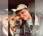 Small #1 American Staffordshire Terrier Mix