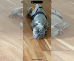 Small #2 Breeder Profile image