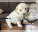 Image preview for Ad Listing. Nickname: Kiara